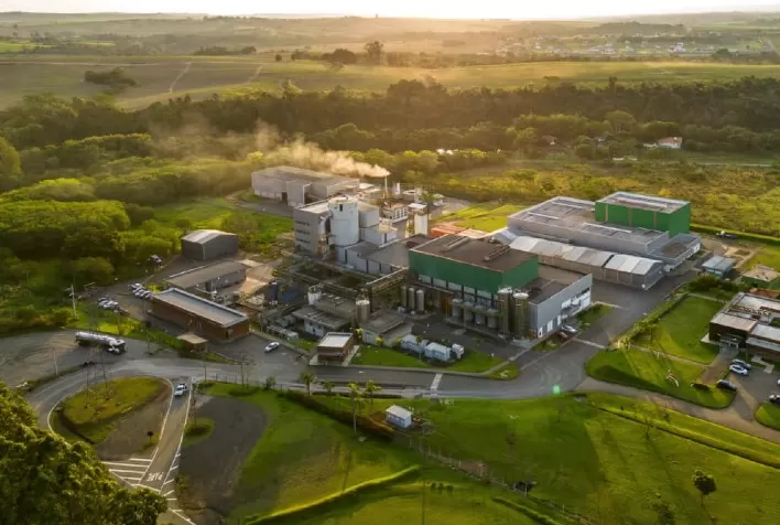 Lallemand Biofuels projeta crescimento significativo no Brasil com foco em biotecnologia do etanol