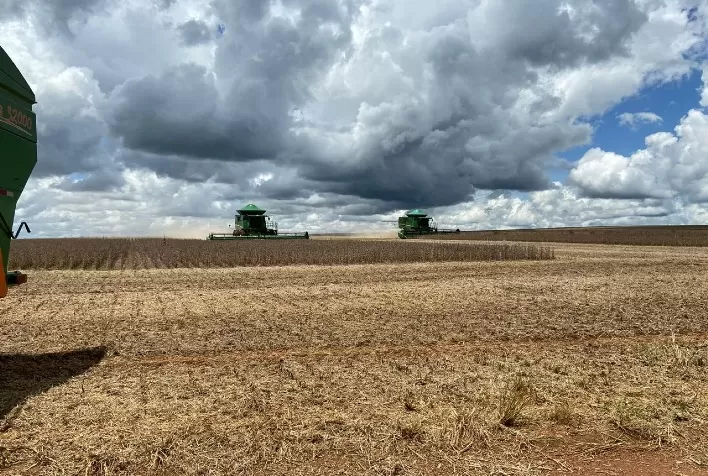 Colheita da Safra de Soja em Mafra (SC) Alcança 15% da Área Plantada