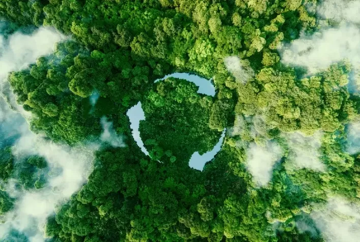 Programa de Recuperação Ambiental do Imac alcança 1,3 mil hectares em Mato Grosso