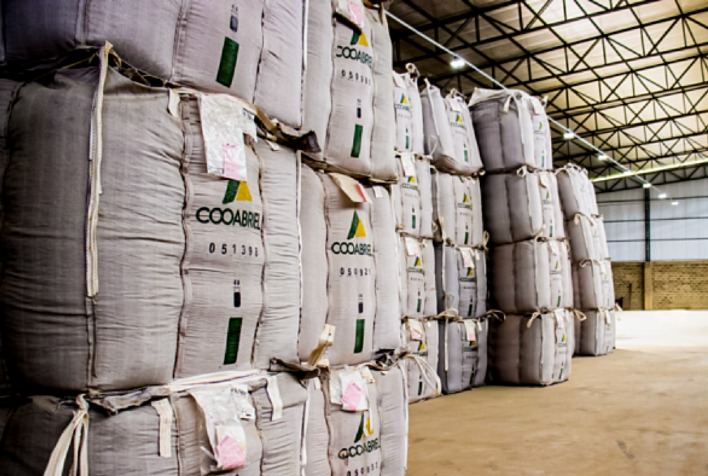 Cooabriel Registra Faturamento Recorde de R$ 2,57 Bilhões em 2024, Impulsionado pelo Mercado de Café e Insumos