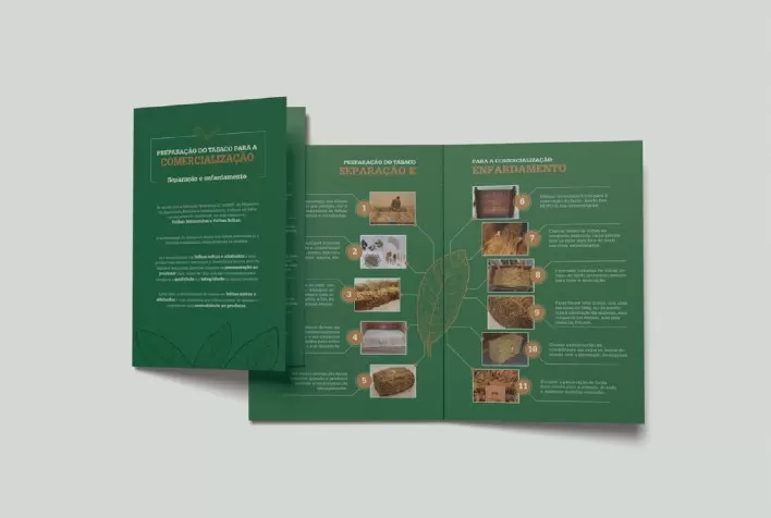 Preparação Adequada do Tabaco Garante Bons Negócios para os Produtores