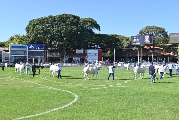 ABCZ Orienta Expositores da 90ª ExpoZebu a Regularizarem Inscrições de Animais