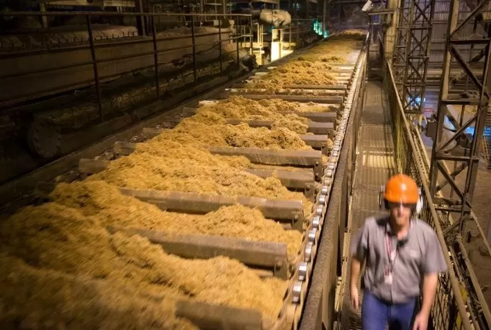 Moagem de Cana no Centro-Sul Cai 17,8% na Primeira Quinzena de Março