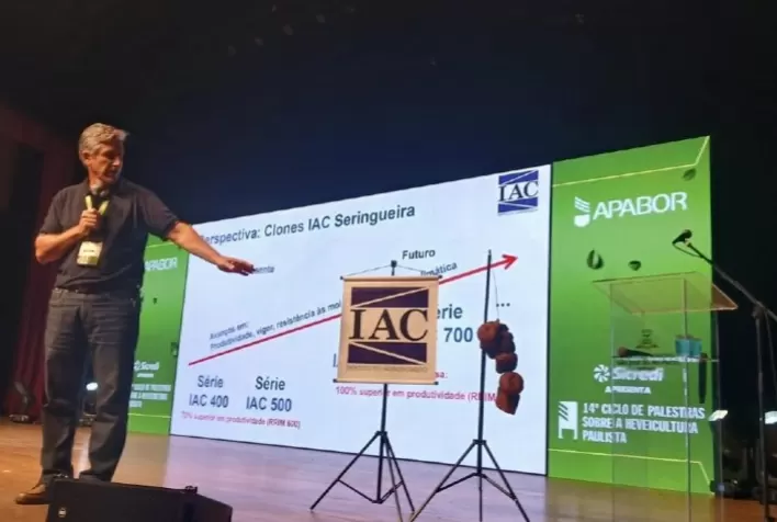 IAC amplia pesquisas com novos clones de seringueira em parceria com Michelin/Cirad e APABOR