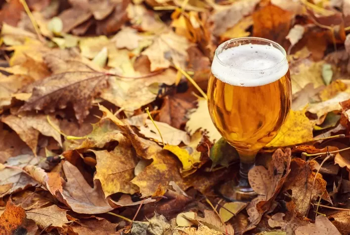 Harmonizações de Cerveja para o Outono: Descubra Combinações Inusitadas com Frutas e Legumes da Estação