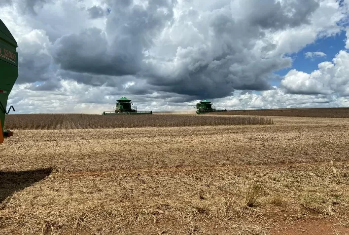 Colheita de soja em Goiatuba (GO) se aproxima do fim