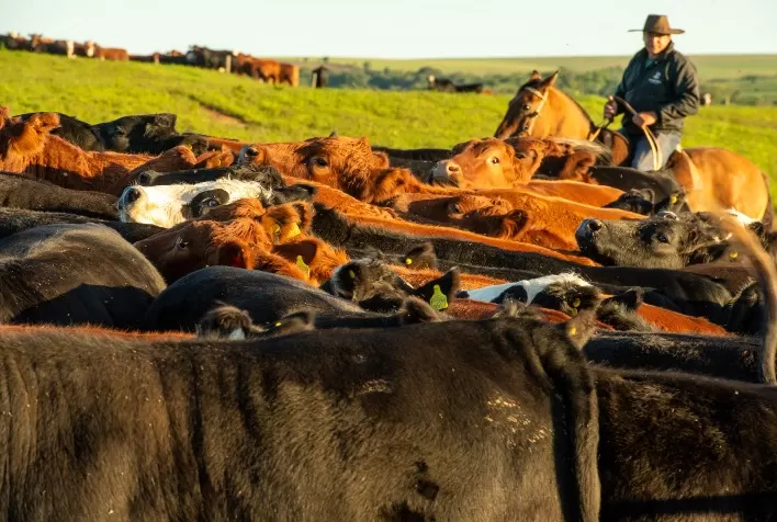 Proprietários de imóveis rurais em áreas de fronteira devem regularizar títulos até outubro de 2025