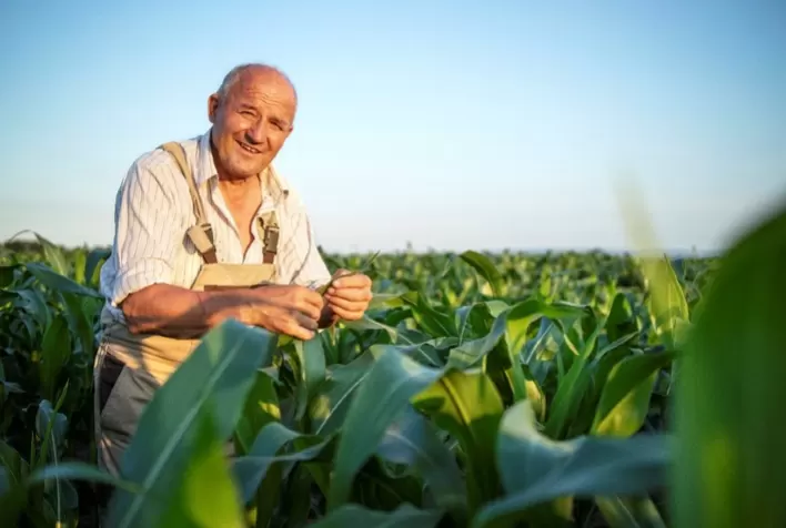 Pequenas propriedades no Sul do Brasil apresentam maior potencial agrícola que outras regiões, aponta levantamento