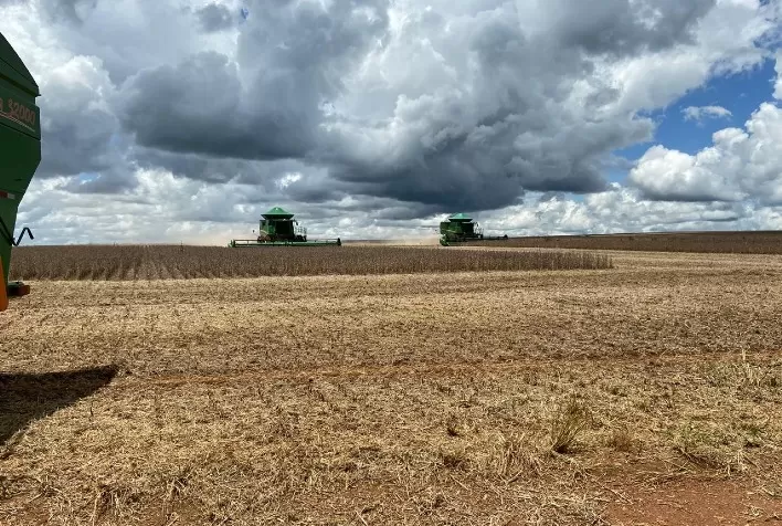 Bahia deve colher 8,7 milhões de toneladas de soja na safra 2024/25