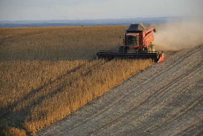 Colheita de soja atinge 87% no Brasil, com foco no Rio Grande do Sul