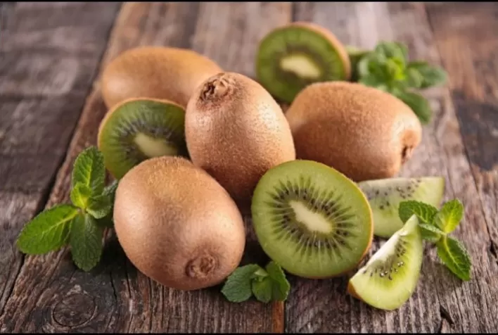 Produtores de kiwi recorrem à irrigação para manter qualidade das lavouras na Serra Gaúcha
