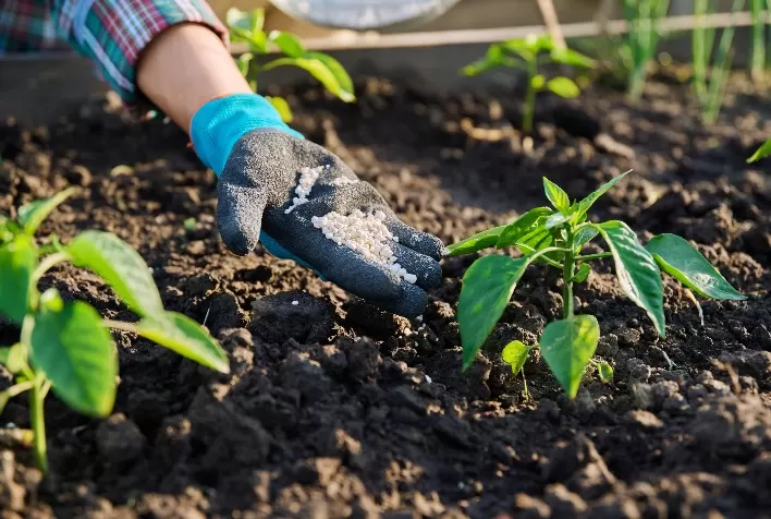 Conservação do solo é prioridade para a sustentabilidade agrícola, afirma Abisolo
