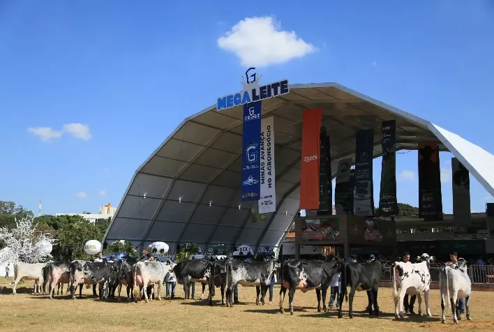 Megaleite 2025 abre inscrições e celebra 20 anos como referência da pecuária leiteira na América Latina