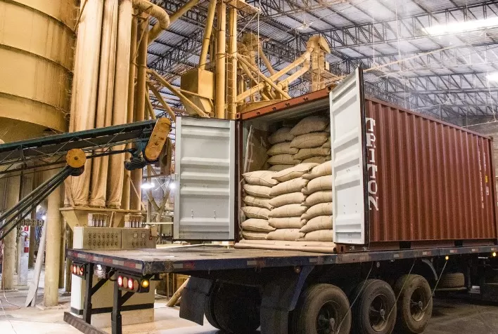 Exportações de café recuam 25% em março, mas receita cambial registra alta expressiva