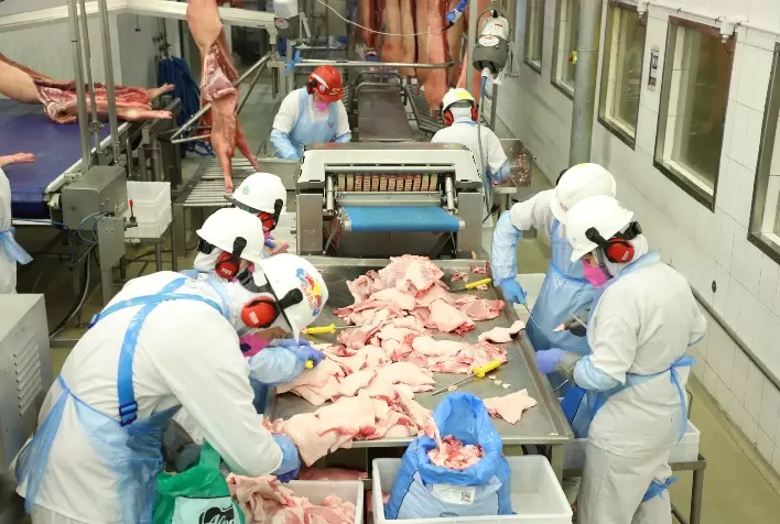 Paraná Registra Crescimento Histórico nas Exportações de Carne Suína em Março