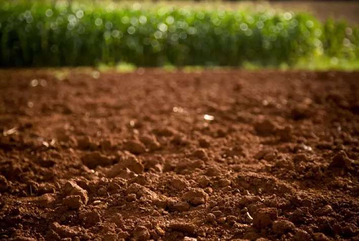 Abisolo destaca conservação do solo como pilar da sustentabilidade na agricultura brasileira