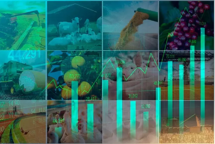 Alta do dólar impulsiona resultados do agronegócio no quarto trimestre