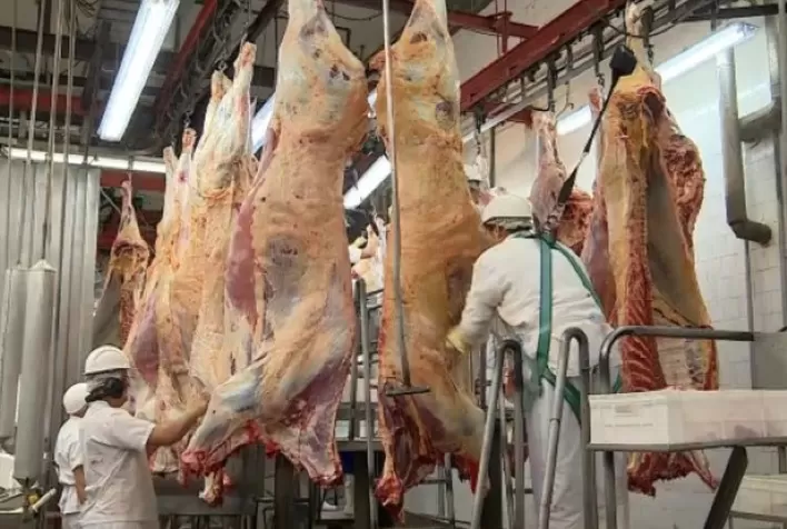 Mato Grosso alcança recorde histórico nas exportações de carne bovina em março