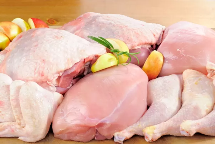A Qualidade da Carne na Avicultura: Fatores Determinantes para o Sucesso do Setor