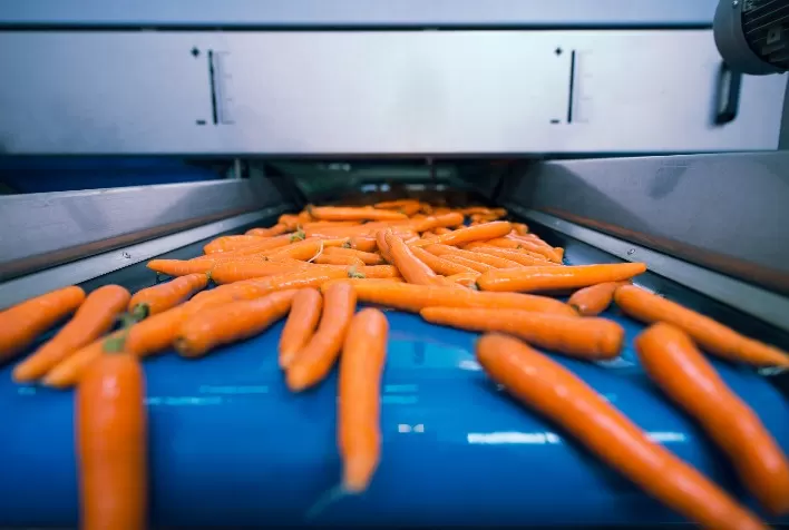 Visão computacional avança na indústria alimentícia e reduz desperdícios com precisão superior a 95%