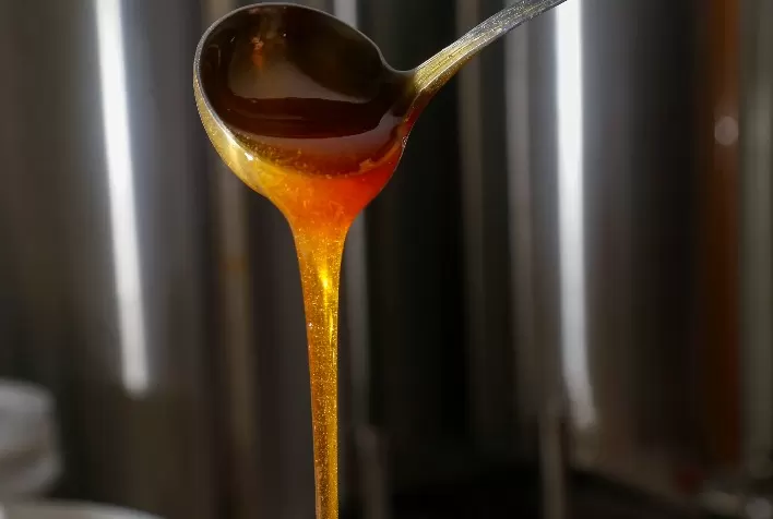 Brasil amplia exportações de mel e mantém posição entre os maiores produtores mundiais