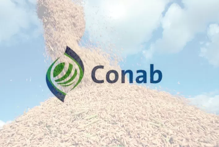 Produtores têm até sexta-feira para antecipar venda de arroz à Conab por meio de Contratos de Opção