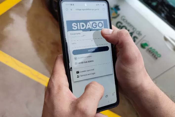 Vacinação obrigatória contra raiva e declaração de rebanho começam em 1º de maio em Goiás