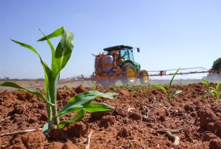 Custos com insumos elevam despesas da produção de milho em Mato Grosso