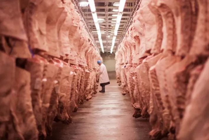 Mato Grosso registra exportação de 145 mil toneladas de carne bovina no primeiro trimestre de 2025