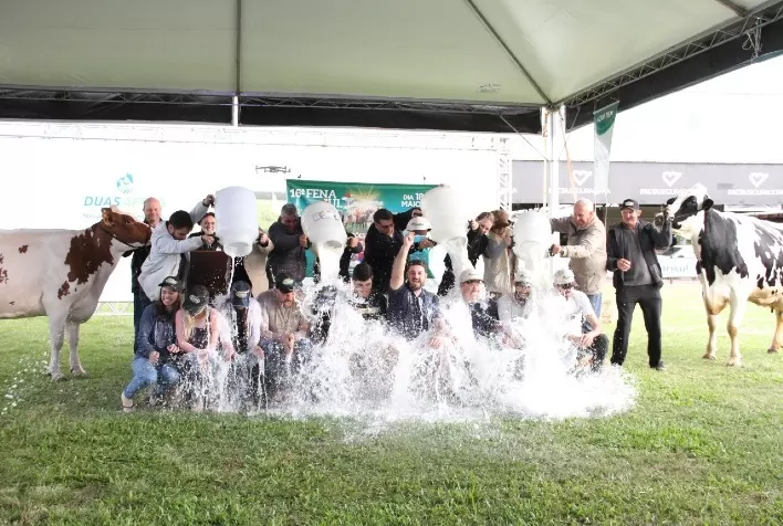 Concurso Leiteiro da Fenasul Expoleite reforça protagonismo dos criadores gaúchos