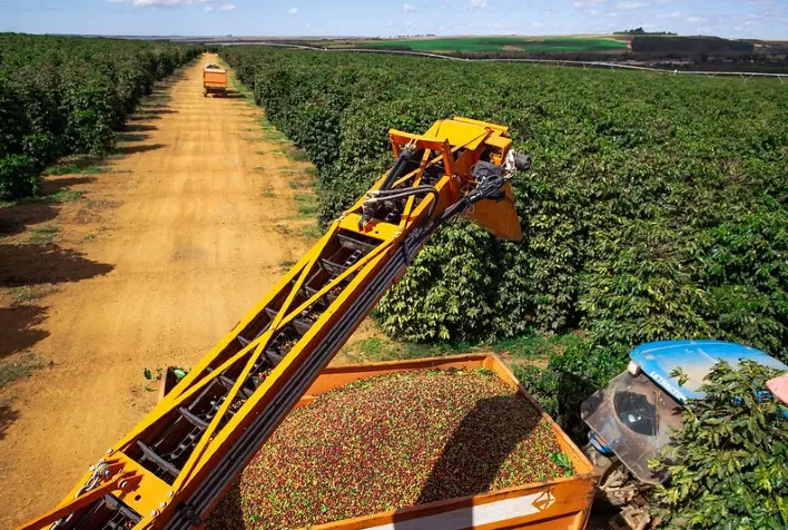 Cenário do Café em 2024: Volatilidade de Preços e Desafios no Mercado Global