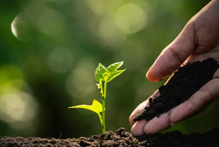 Inovação no Agronegócio: O Futuro da Agricultura Sustentável