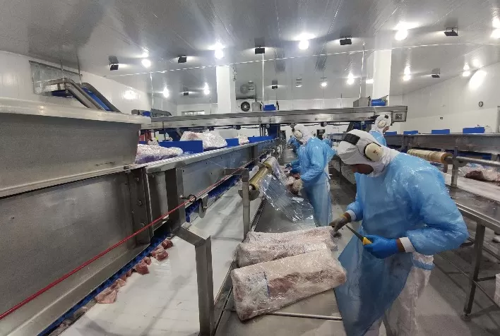 Paraná ultrapassa Japão e Coreia do Sul na exportação de alimentos