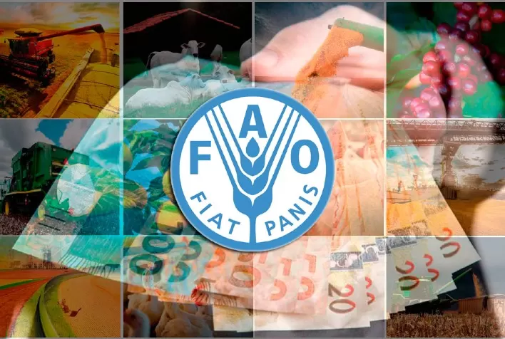 Preços Globais de Alimentos Sobem em Abril, Impulsionados por Aumento nos Preços de Cereais, Carnes e Laticínios, Segundo FAO