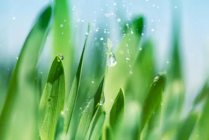 Tecnologias biológicas e manejo do solo: estratégias para enfrentar o déficit hídrico na agricultura brasileira