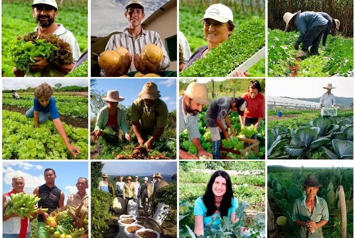 Santa Catarina destina mais de R$ 20,5 milhões à agricultura familiar para impulsionar produção e permanência no campo