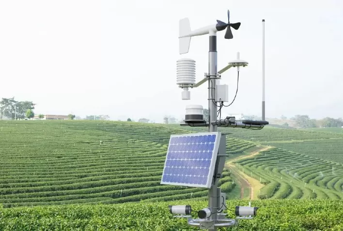 TIM e Grupo Pedra expandem conectividade 4G para mais de 1 milhão de hectares no campo