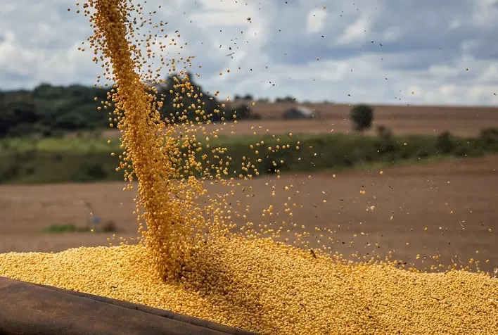 CNA alerta produtores sobre datas do vazio sanitário e semeadura da soja para a safra 2025/2026