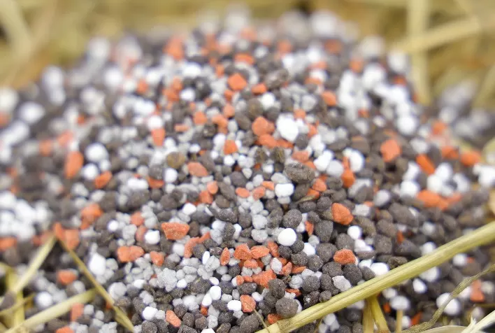 Fertilizantes Orgânicos da Terraplant Promovem Nutrição Equilibrada e Sustentável para o Ciclo Completo das Culturas