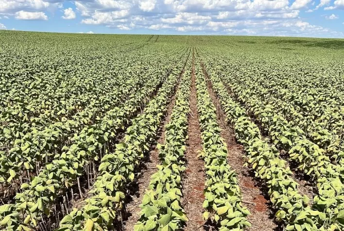 Inadimplência em contratos de arrendamento rural não é justificada por eventos climáticos, alerta especialista