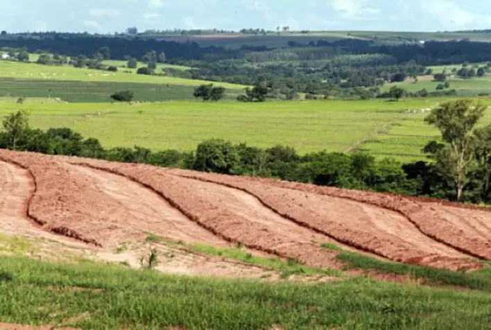 Empresas e ONGs alertam para retrocessos no Código Florestal com tramitação de projeto na Câmara