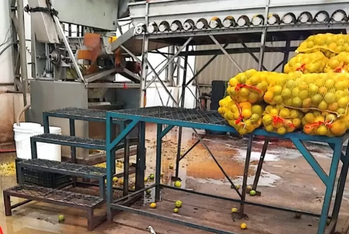 MAPA interdita fábricas de suco irregulares em Ribeirão Preto por falta de registro e condições sanitárias