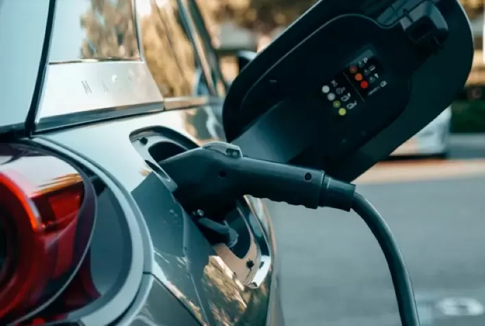 Estudo Aponta que o Brasil Perderá 46 Campos de Futebol por Mês em Desmatamento para Atender Demanda por Carros Elétricos da União Europeia