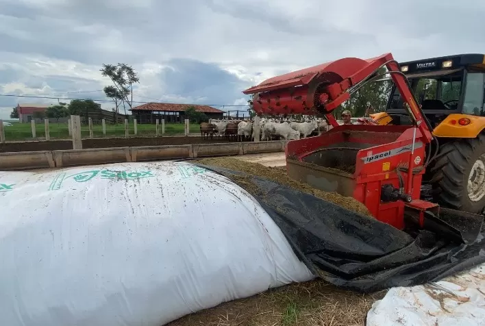 Novo Silo-Bolsa da Nortène Chega ao Brasil: Solução Prática e Eficiente para Pequenas e Médias Propriedades