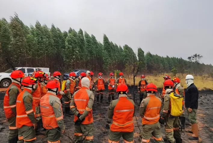 Tecnologia e Colaboração São Aliadas no Combate aos Incêndios Florestais em MS