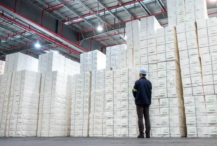 Mercado de Celulose Enfrenta Desafios no Mercado Chinês Devido a Tarifas dos EUA, Afirma Copec