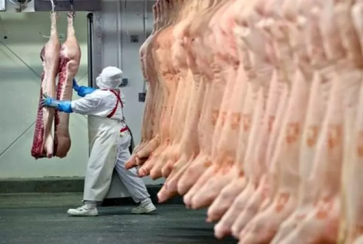 Receita das exportações brasileiras de carne suína em abril é a segunda maior da história