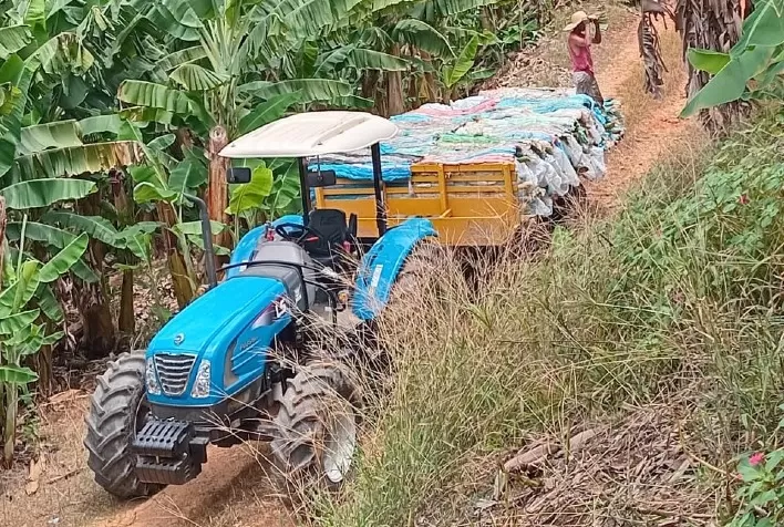 Feibanana 2025: Produtores do Vale do Ribeira conhecem novas tecnologias para a bananicultura
