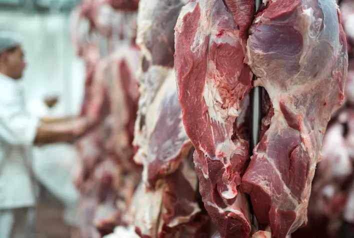 Gestão eficiente é diferencial para o agro diante da alta nas exportações de carne bovina aos EUA