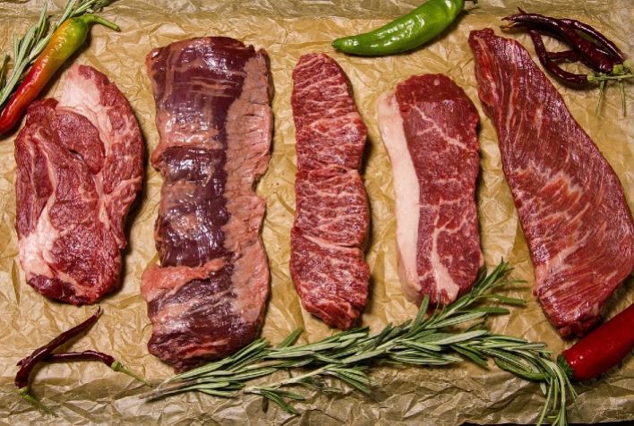 Alimenta 2025 reforça protagonismo do Paraná na produção de proteína animal e apresenta programação oficial